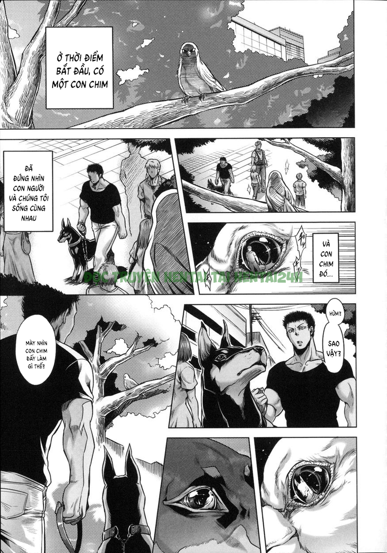 Hình ảnh 0 trong Human-Lovers Committee - Chapter 8 END - Hentaimanhwa.net