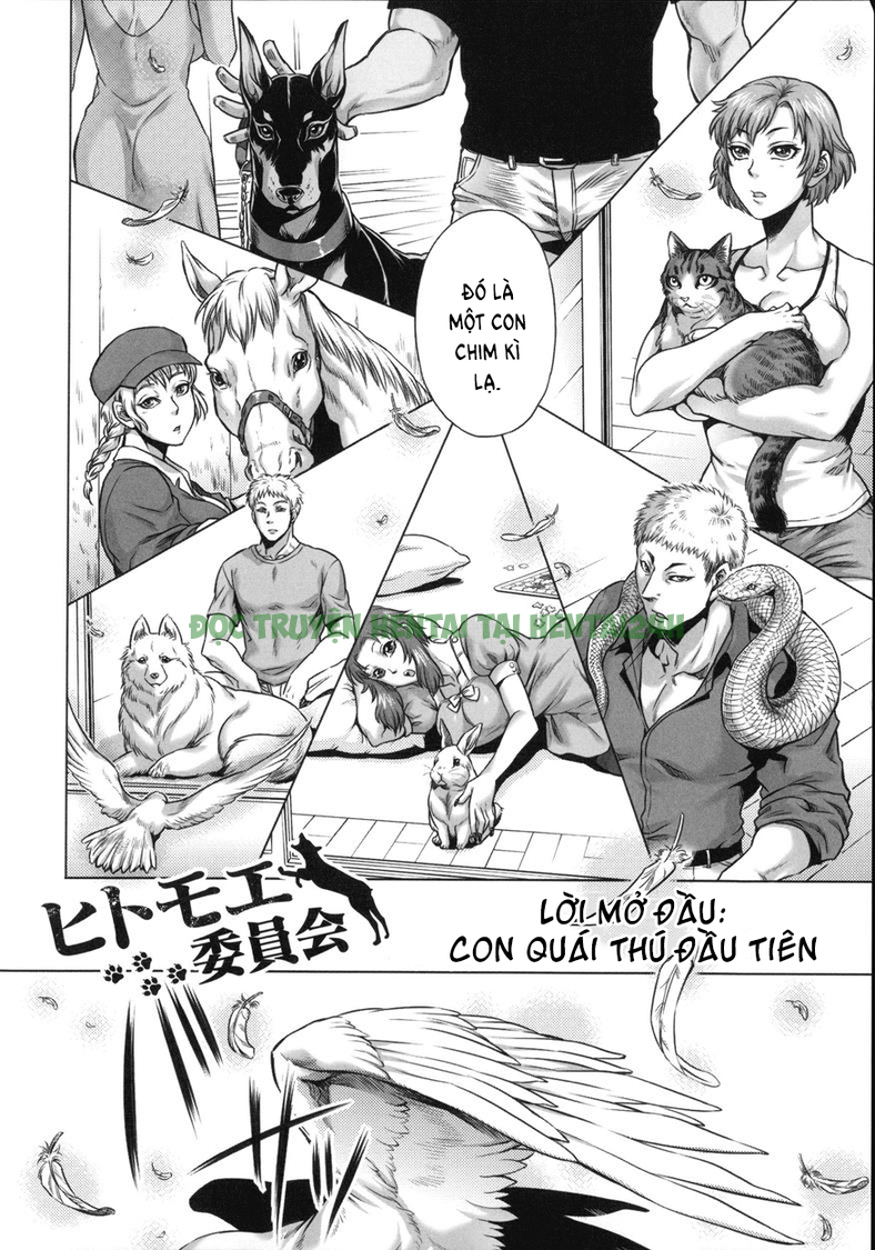 Hình ảnh 1 trong Human-Lovers Committee - Chapter 8 END - Hentaimanhwa.net