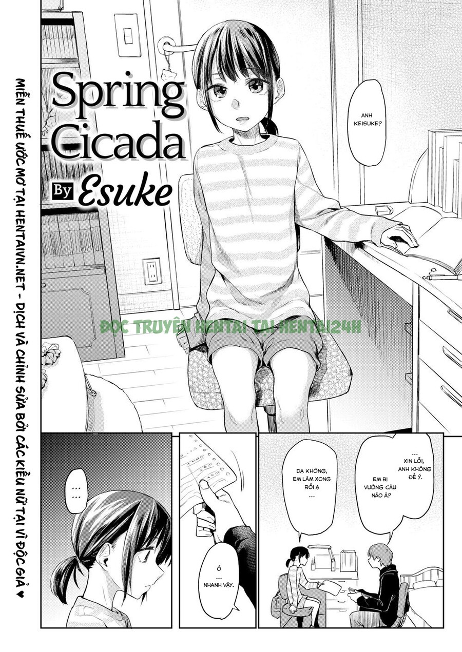 Xem ảnh 3 trong truyện hentai Spring Cicada - Chapter 1 - truyenhentai18.pro