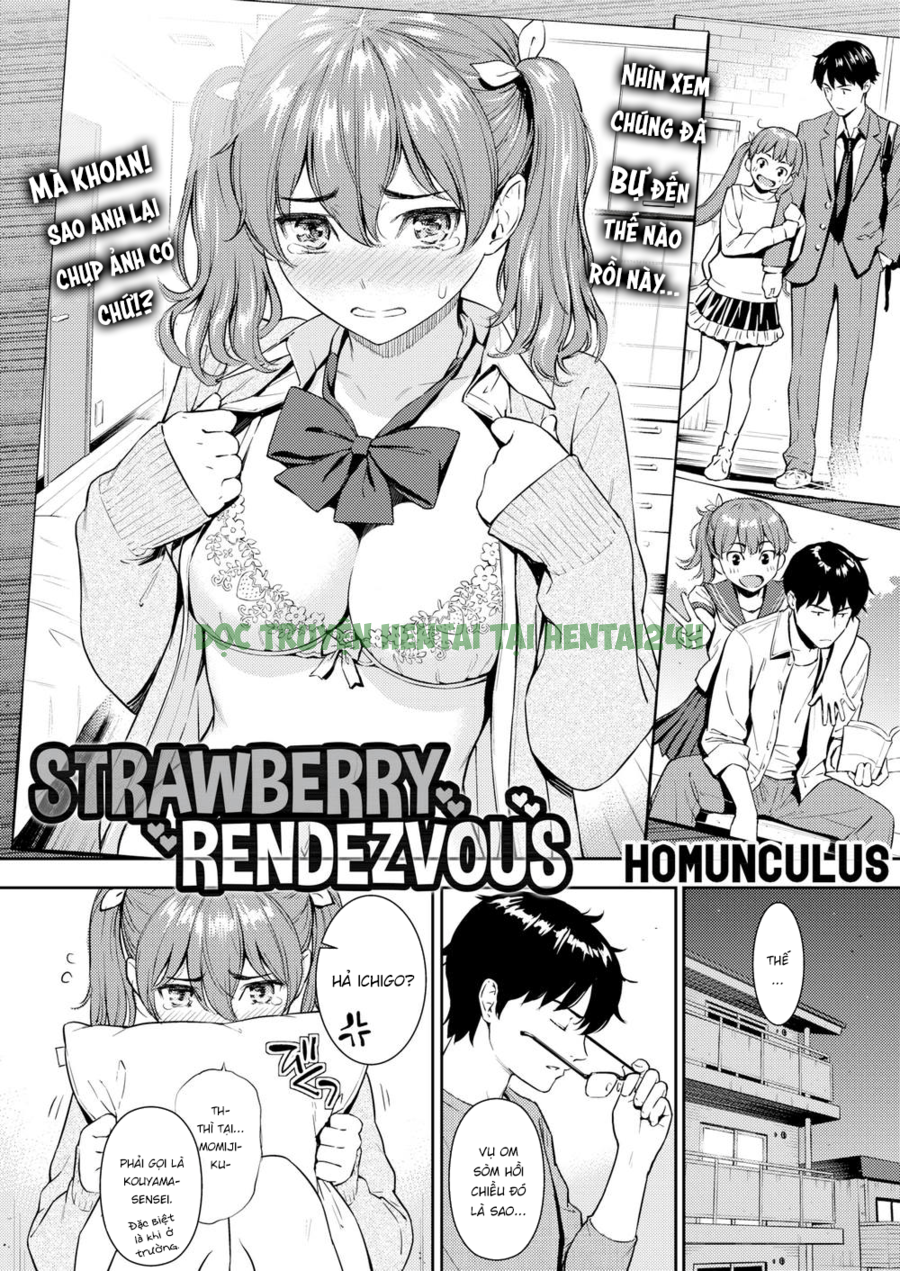 Xem ảnh 1 trong truyện hentai Strawberry Rendezvous - One Shot - truyenhentai18.pro