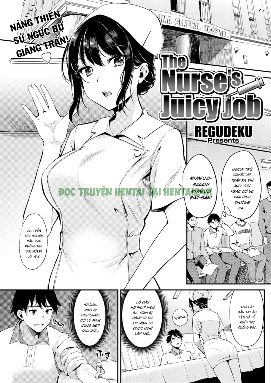 Hình ảnh 0 trong The Nurse's Juicy Job - One Shot - Hentaimanhwa.net