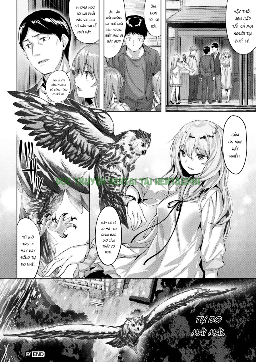 Xem ảnh 29 trong truyện hentai The Owl's Mansion - Chapter 2 END - truyenhentai18.pro